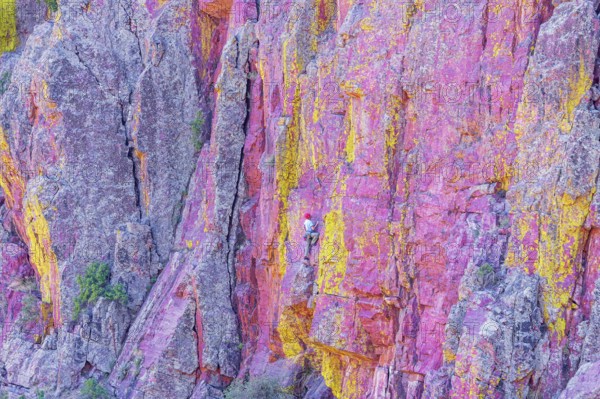 Man rock climbing, Coconino National Forest, Arizona, USA, North America