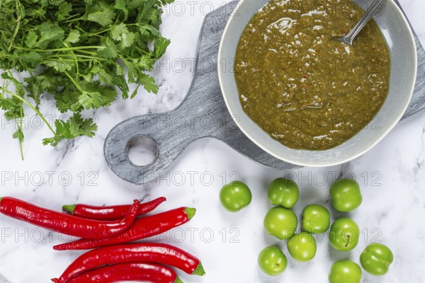 Tkemali sauce, made from green cherry plum, with ingredients on the table, top view, Georgian cuisine, no people