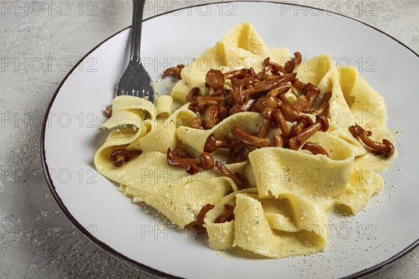 Pasta papardelle, in creamy garlic sauce, with mushrooms, traditional Italian cuisine, pasta carbonara, homemade, no people
