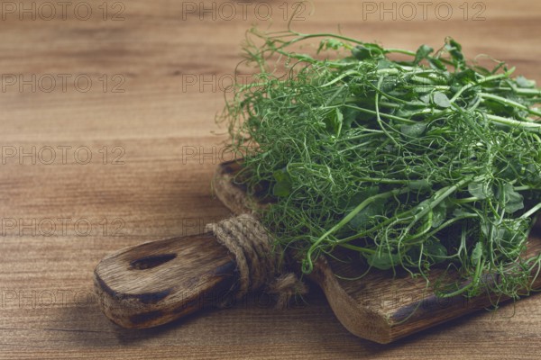 Green pea shoots with delicate tendrils are artfully placed on a textured wooden cutting board, highlighting their freshness and natural beauty in a cozy kitchen environment
