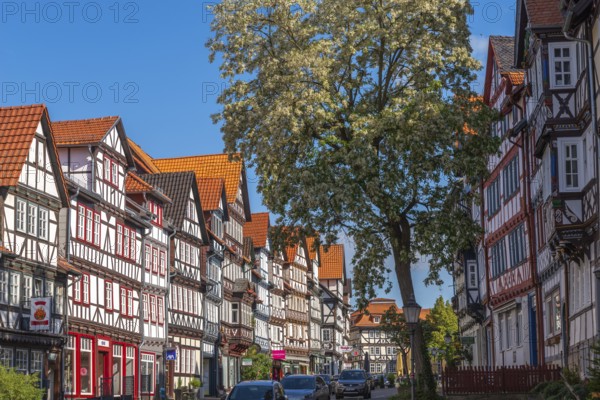 Bad Sooden, Allendorf, Allendorf district, historic old town with numerous half-timbered houses under monument protection, multi-storey gabled houses, tree, Werra-blue sky, clouds, Meissner district, Hesse, Germany