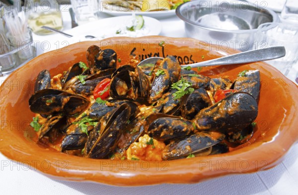 Mussels saganaki or mussels with tomato sauce and feta, typical Greek food, Pelion peninsula or Pelion, Thessaly, Greece