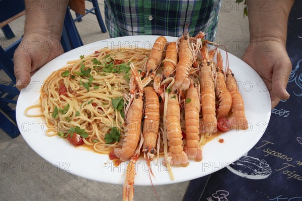 Crayfish or crayfish with pasta, Pelion peninsula or Pelion, Thessaly, Greece