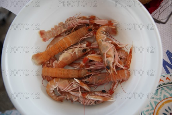 Greek prawns on a plate, Pelion peninsula or Pelion, Thessaly, Greece