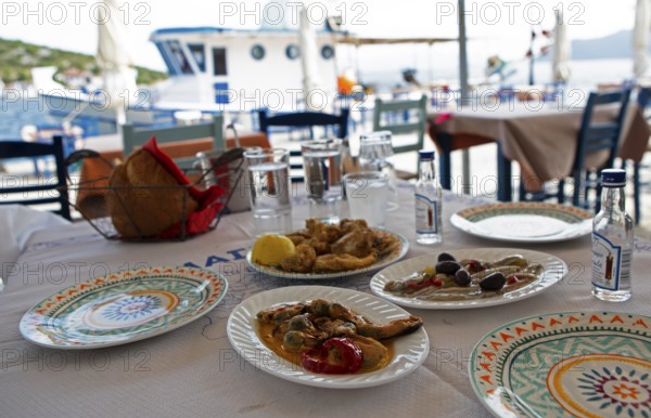Greek meze or appetisers, Pelion peninsula or Pelion, Thessaly, Greece