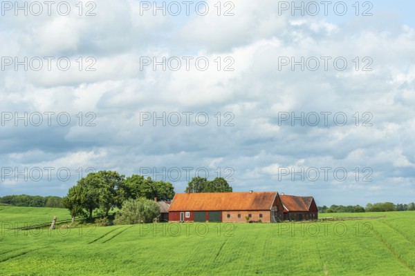 Landscape with red farm buildings by green field with crops and lots of clouds in Ystad Municipality, Skåne County, Sweden, Scandinavia