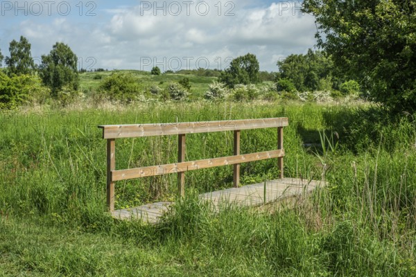 Footbridge over stream in meadow in Ystad, Skåne County, Sweden, Scandinavia