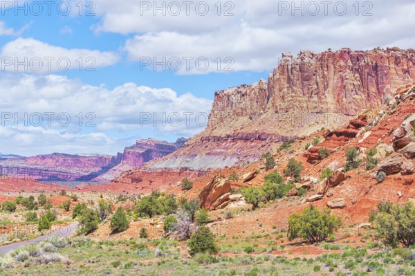 Sandstone cliffs, Capitol Reef National Park, Utah, USA, North America