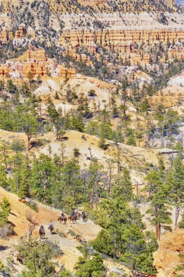 Bryce Canyon, Bryce Canyon National Park, Utah, USA