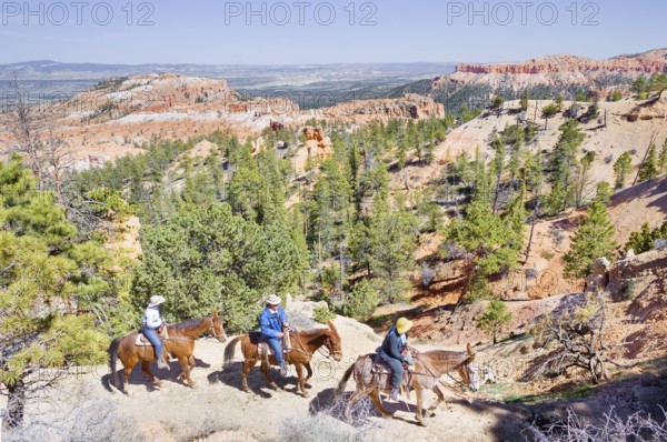 Bryce Canyon, Bryce Canyon National Park, Utah, USA