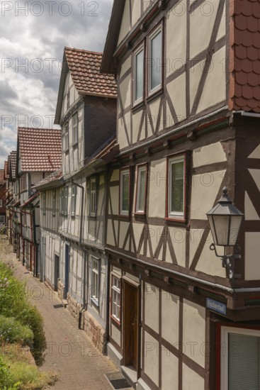 Old fishermen's settlement along the Werra, Bad Sooden, Allendorf, district Allendorf, street Fischerstad under monument protection, half-timbered houses, water reflection, trees, Werra-Meissner-Kreis, Hesse, Germany