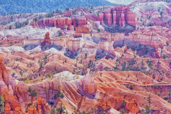 Bryce Canyon, Bryce Canyon National Park, Utah, USA