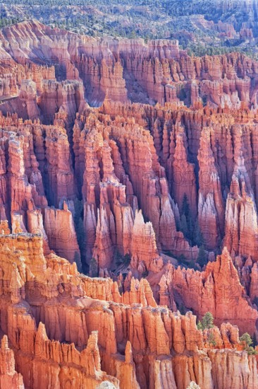 Bryce Canyon, Bryce Canyon National Park, Utah, USA