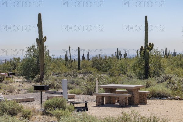 Picnic table at a desert campsite at the White Tank Mountain Regional Park campground in Phoenix, Arizona, USA