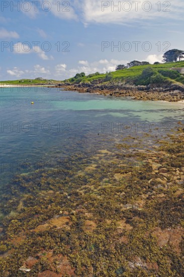 Natural coastline with rocks and trees, turquoise sea and vast sky, St Agnes, Isles of Scilly, Cornwall, England, United Kingdom