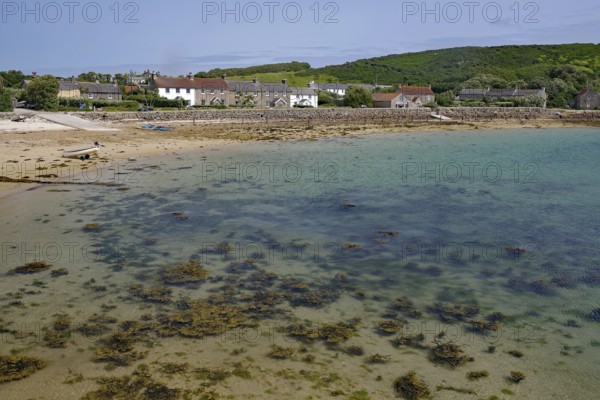 Beach with seaweed, calm sea and houses in the background under blue sky, Tresco, Isles of Scilly, Cornwall, England, United Kingdom