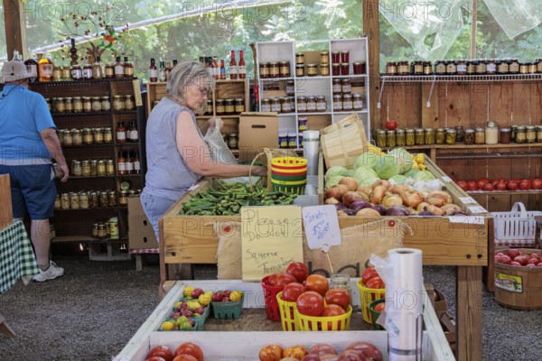 Senior couple shopping for fresh vegetables at roadside produce stand near Hayesville, North Carolina, USA