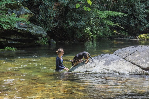 Young woman and her German Shepard dog playing in the Hiawassee River flowing through the Fires Creek Wildlife Area near Hayesville, North Carolina, USA