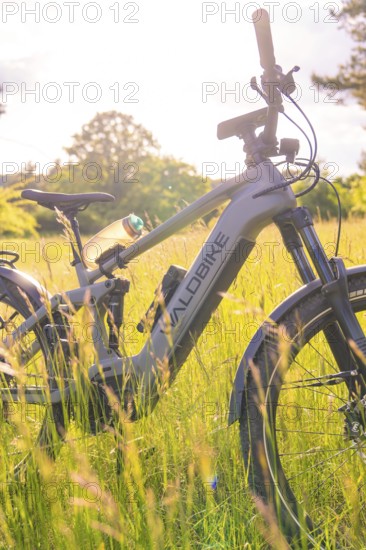 A bicycle in the tall grass shines in the warm sunlight of a summer's day, e-bike excursion, Gechingen, Calw district, Germany