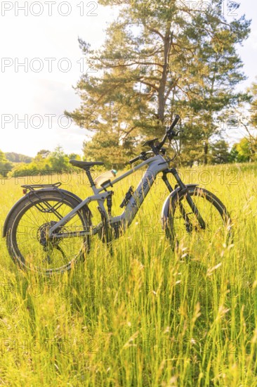 A bicycle stands on a blooming summer meadow, surrounded by trees and sun, e-bike excursion, Gechingen, district of Calw, Germany