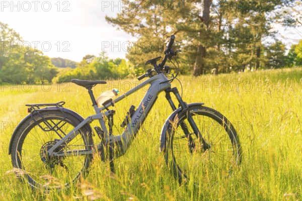 A bicycle stands on a sun-drenched meadow on a clear summer's day, e-bike excursion, Gechingen, Calw district, Germany