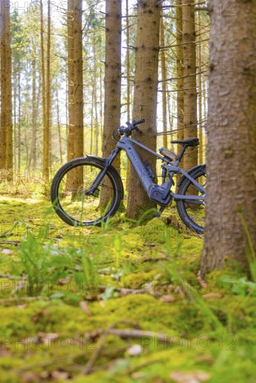 A bicycle stands in the quiet, moss-covered forest, surrounded by tall trees, e-bike excursion, Gechingen, Calw district, Germany