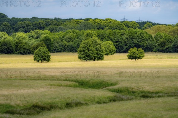 Wesel, Lippe Auen, North Rhine-Westphalia, Germany