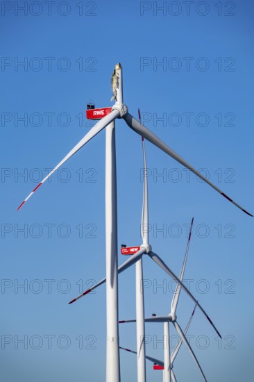 Defective wind turbine, bent rotor blade, in the Bedburg A44n wind farm, in the Garzweiler open-cast mining area, on the A44 motorway, on recultivated lignite mining area, for unknown reasons is a rotor of a Nordex N149/5.7 wind turbine, with a hub height of 164 meters and a total height of 239 meters, an output of 5.7 MW and a rotor diameter of 149 m, bent, the wind turbine is part of a wind farm of a joint venture between the City of Bedburg and RWE Renewables Europe & Australia, North Rhine-Westphalia, Germany