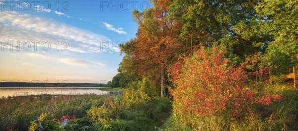 Evening at the lake in autumn, hiking trail on the shore, Großer Lychensee, Lychen, Uckermark, Brandenburg, Germany