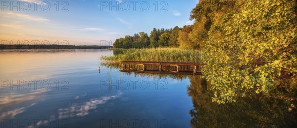 Evening at the lake in autumn, Steg in the Reeds, Großer Lychensee, Lychen, Uckermark, Brandenburg, Germany