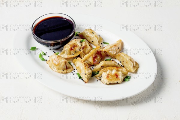 Japanese fried gyoza dumplings, with pork, sesame seeds, green onions