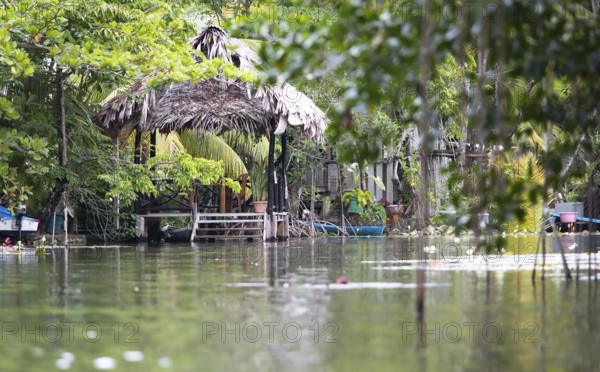 Inhabited riverbank on the Rio Dulce River, Livingston, Izabal Department, Guatemala