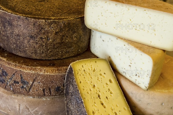 Cheese, hard cheese, organic cheese, Black Forest, Baden-Württemberg, Germany