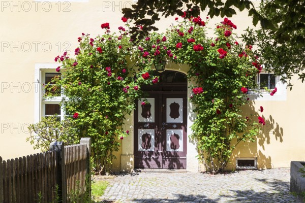 Blooming rose arch around a wooden front door with carvings, Pulsnitz, Saxony, Germany