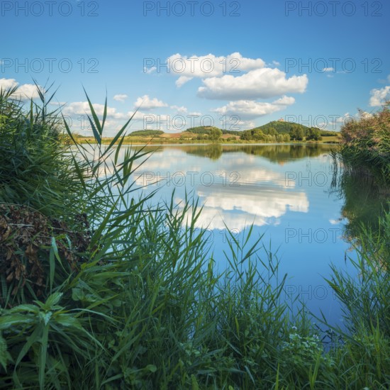 Wachsenburg Castle is reflected in the still water of a lake under a blue sky with cumulus clouds, shore with reeds, castle of the castle ensemble Drei Gleichen, Thuringian Burgenland, Mühlberg, Thuringia, Germany
