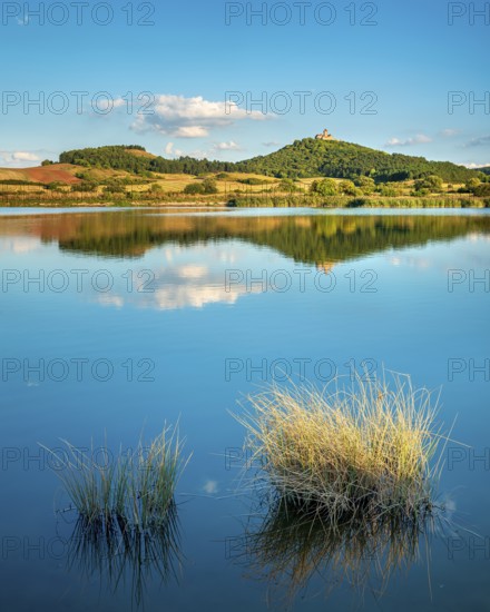 Wachsenburg Castle is reflected in the still water of a lake under a blue sky with cumulus clouds, reed grass in the water, castle of the castle ensemble Drei Gleichen, Thuringian Burgenland, Mühlberg, Thuringia, Germany