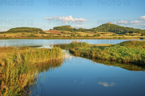 Wachsenburg Castle is reflected in the still water of a lake under a blue sky with cumulus clouds, shore with reed castle of the castle ensemble Drei Gleichen, Thüringer Burgenland, Mühlberg, Thuringia, Germany