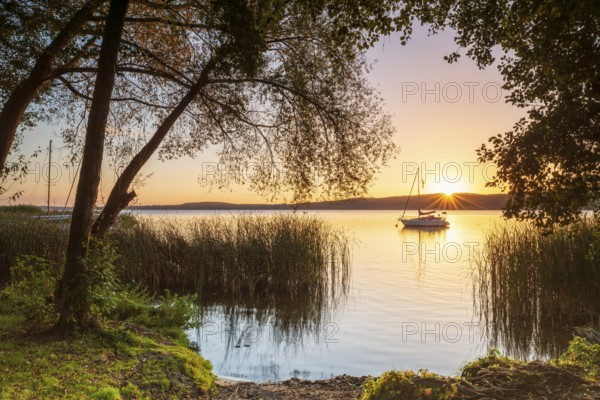 Sunrise at a swimming area on Schwielowsee near Potsdam, sailboat anchored in water, reeds and trees on the shore, Brandenburg, Germany
