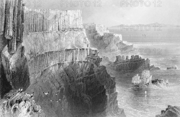 Basalt rocks at Giant's Causeway, Way of the Giant, Bushmills, County Antrim, Northern Ireland, English National Trust, cliffs, basalt columns, hexagon, cliffs, geology, geology, earth history, tranquil atmosphere, legend of the giant, birds, seashore, landmark, steel engraving, 19th century, historical illustration from 1845