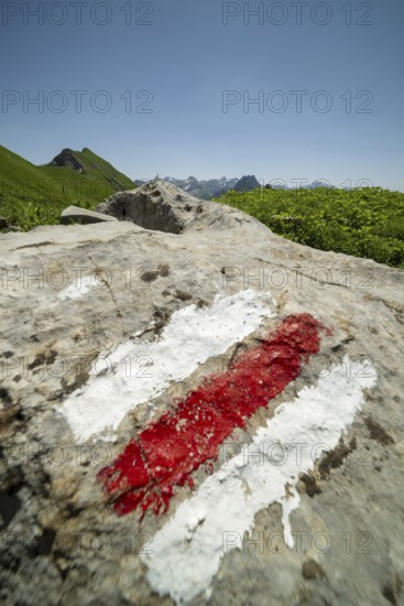 Trail marker on the Laufbacher-Eckweg, a demanding high-altitude hiking trail from Höfatsblick mountain station to Oytal, Allgäu Alps, Allgäu, Bavaria, Germany
