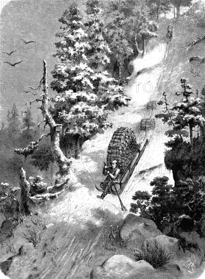Wood transport by sled in the Bohemian Forest, Czech Republic, woodcut from 1864