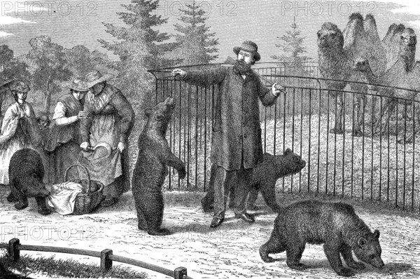 A walk in the zoo, woodcut from 1864