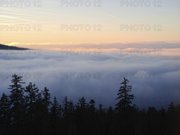 Sea of clouds over the forest at dusk, Fichtelgebirge