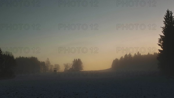 Mystical fields and trees at dusk with light fog, raised seat, Frankenwald nature park Park