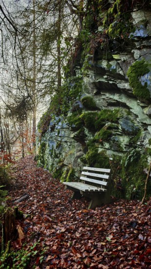 Leafy, atmospheric forest trail with a bench next to rocks covered with moss, Thuringian Forest nature park Park