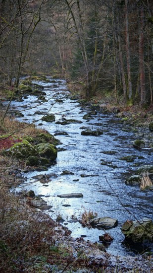 Flowing stream with stones and thick trees on both sides, Frankenwald nature park Park