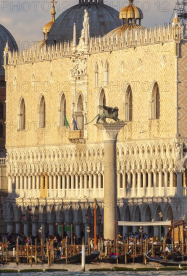 Doge's Palace, Column with St. Mark's Lion on Piazzetta, Venice, Veneto, Italy