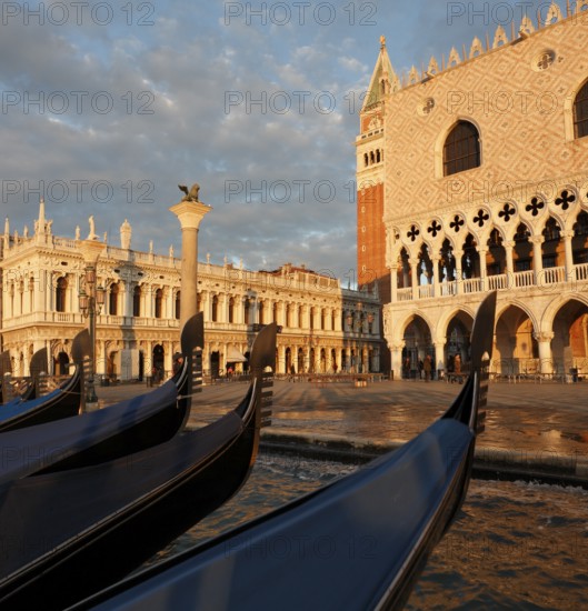 View from the water of the Doge's Palace and Piazzetta in the morning, Venice, Veneto, Italy
