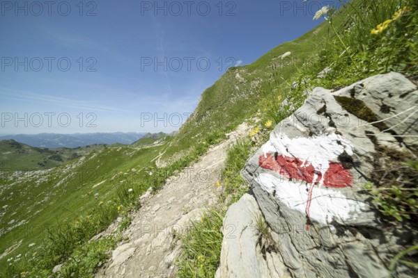 Trail marker on the Laufbacher-Eckweg, a demanding high-altitude hiking trail from Höfatsblick mountain station to Oytal, Allgäu Alps, Allgäu, Bavaria, Germany