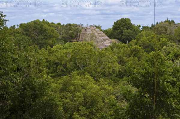 Northern acropolis in rainforest or jungle, Yaxha-Nakum-Naranjo National Park, Biósfera Maya Nature Reserve, Lowlands, Petén Department, Guatemala